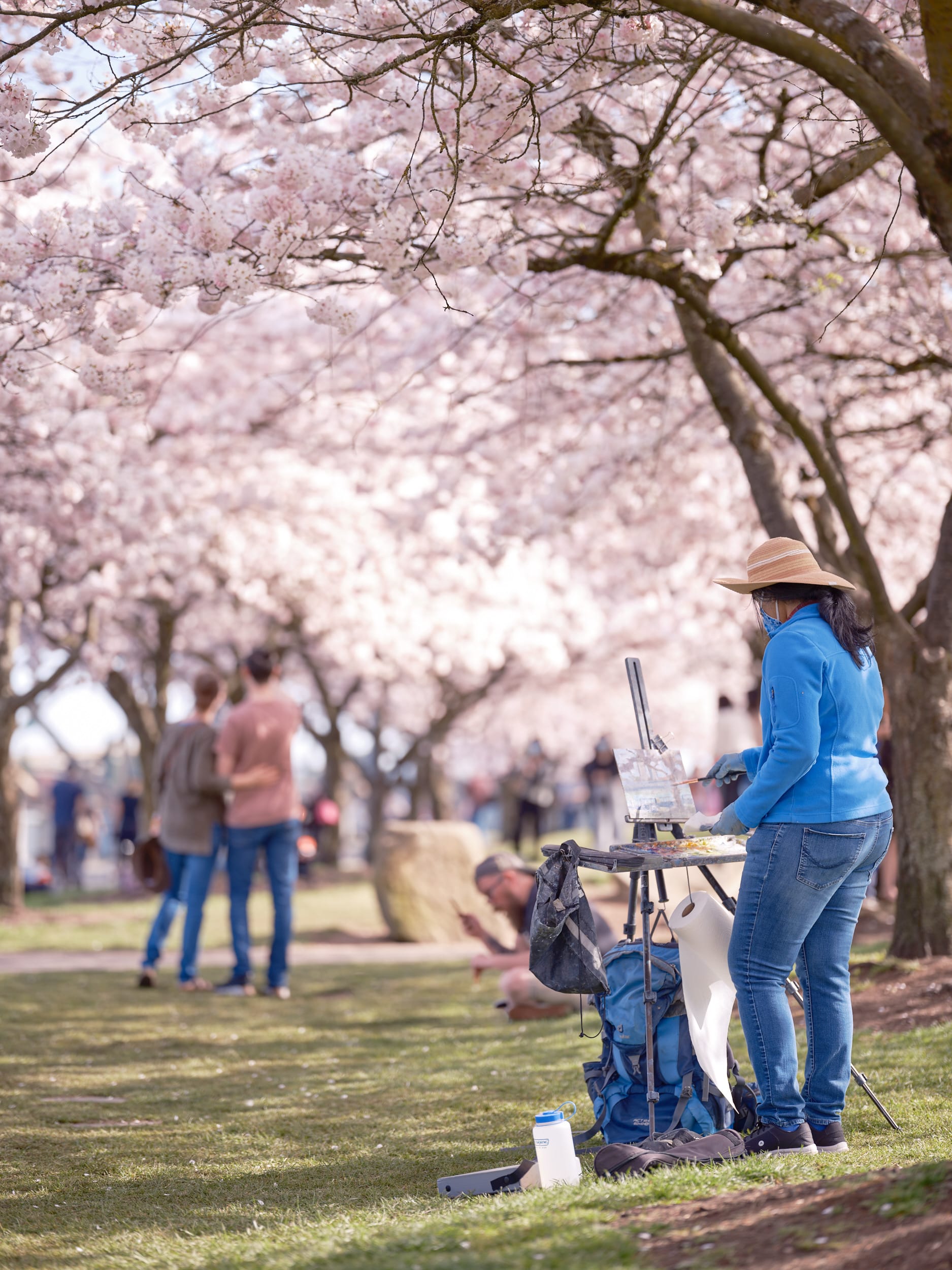 A plein air artist in a wide-brimmed hat and blue jacket captures the ephemeral beauty of spring at Portland's Tom McCall Waterfront Park, her easel positioned beneath a canopy of delicate pink cherry blossoms. The soft, diffused light filters through the flowering branches, creating an ethereal atmosphere as other visitors stroll through the blossoming grove in the background. The scene embodies the fleeting magic of sakura season along the Willamette River, where art and nature converge in perfect harmony.