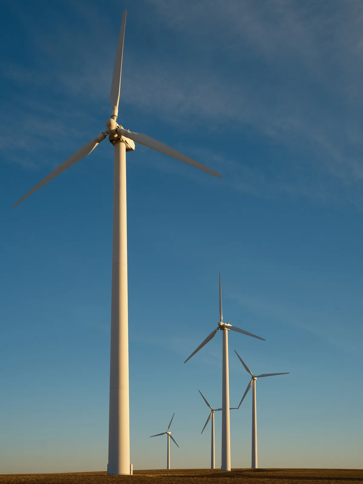 A row of large white wind turbines stretches across the flat, golden high desert landscape near Condon, Oregon. The closest turbine dominates the foreground, its three blades reaching into a vivid blue sky with wispy clouds. Five additional turbines recede into the distance along the horizon, growing progressively smaller. Warm late-day light illuminates the turbines and the dry, harvested farmland at their base.