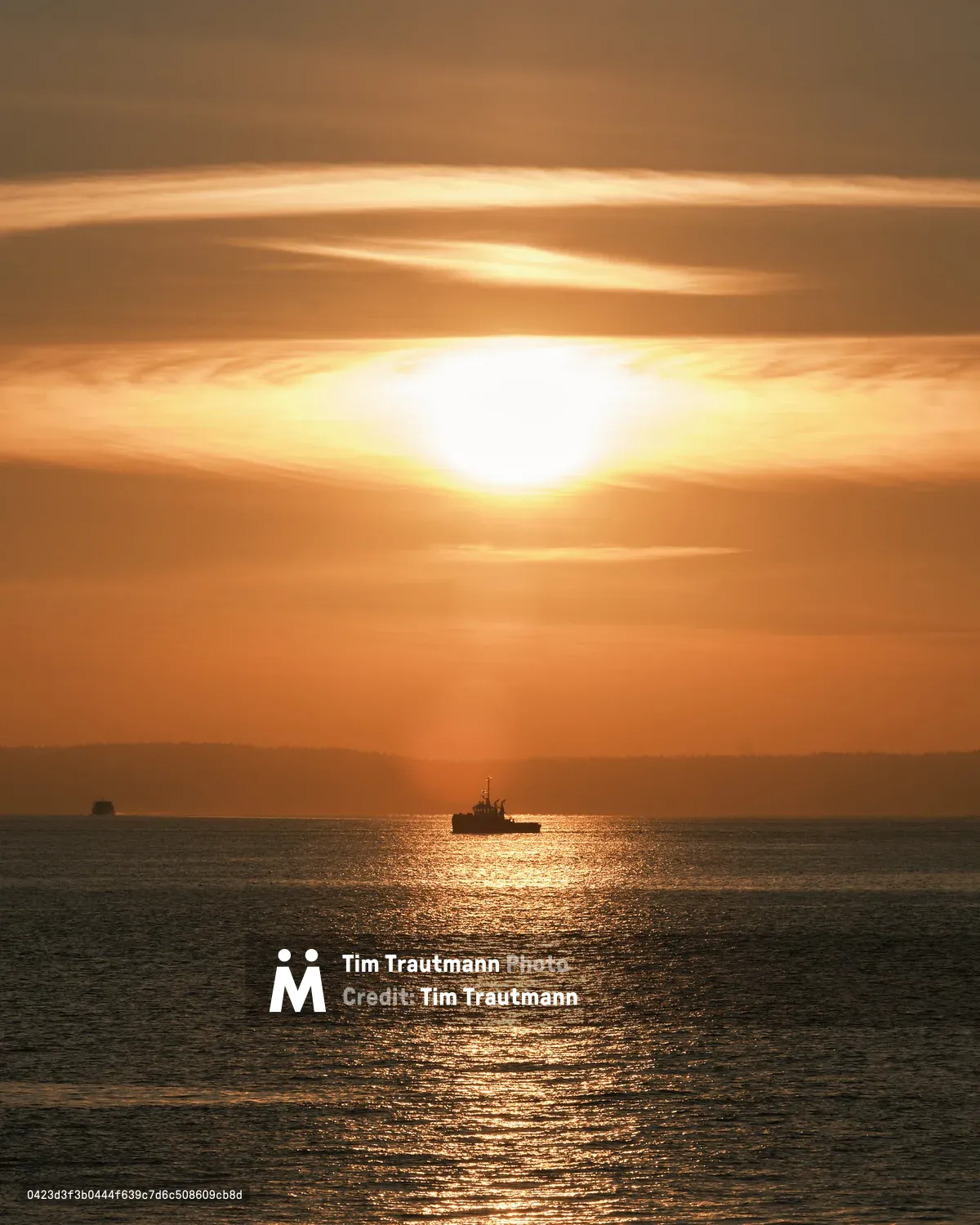 A tugboat is silhouetted against a vivid golden sunset over Elliott Bay in Seattle, Washington. The setting sun reflects in a shimmering path across the calm water. Wispy clouds stretch across the deep orange sky, and a faint landmass is visible on the distant horizon to the left.