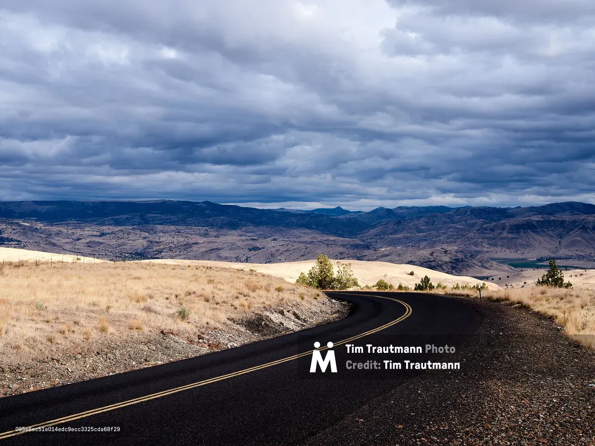 A two-lane asphalt road with double yellow center lines curves gently to the left and disappears over a ridge on Oregon State Highway 218 in Wheeler County, between the towns of Antelope and Fossil. Dry golden bunchgrass and scrubby high desert vegetation flank both sides of the road. A small cluster of juniper trees stands at the curve. Beyond the ridge, a vast panorama of rolling tan hills and eroded canyon country stretches to a distant mountain range under a dramatic, heavily overcast sky filled with layered blue-grey storm clouds. The overall palette is stark — dark asphalt, golden grassland, and brooding sky.