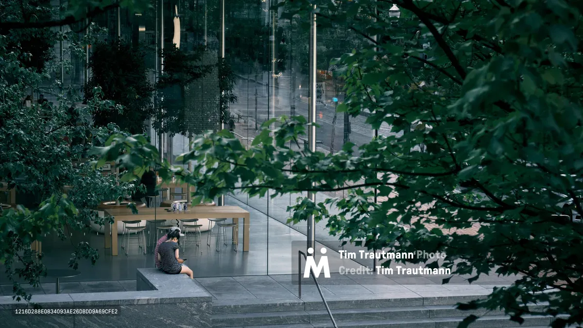 Through a natural veil of summer foliage, figures sit absorbed in their device on the sleek concrete steps of Apple's Pioneer Place store in downtown Portland. The scene captures the juxtaposition between organic nature and digital technology, as verdant maple leaves frame the modern glass-and-steel architecture. Warm afternoon light filters through the canopy, creating dappled shadows that soften the stark minimalism of the retail space's interior, where blonde wood tables and contemporary seating await customers.