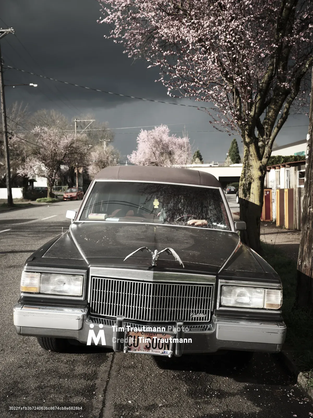 A black vintage Cadillac hearse sedan with the license plate 'CU SOON' is parked on a residential street in Portland's Ladd's Addition neighborhood, surrounded by blooming cherry blossom trees under a dramatic cloudy sky.