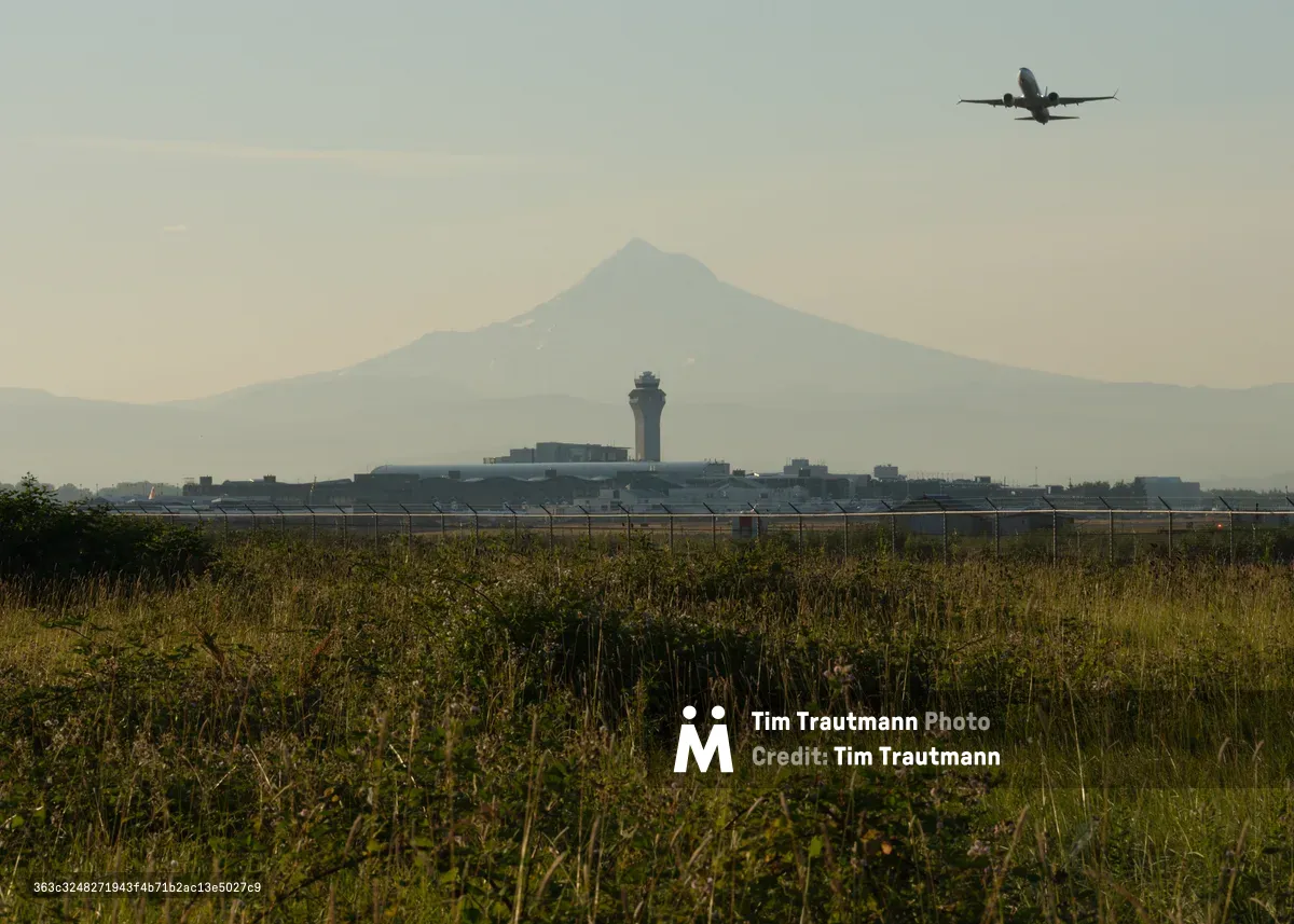 A commercial aircraft climbs through the hazy atmosphere above Portland International Airport, its silhouette stark against the muted sky. The iconic snow-capped peak of Mount Hood looms majestically in the background, while the airport's distinctive control tower anchors the middle ground. Wild grasses and autumn vegetation sprawl in the foreground, creating layers of natural texture that contrast with the geometric precision of aviation infrastructure.