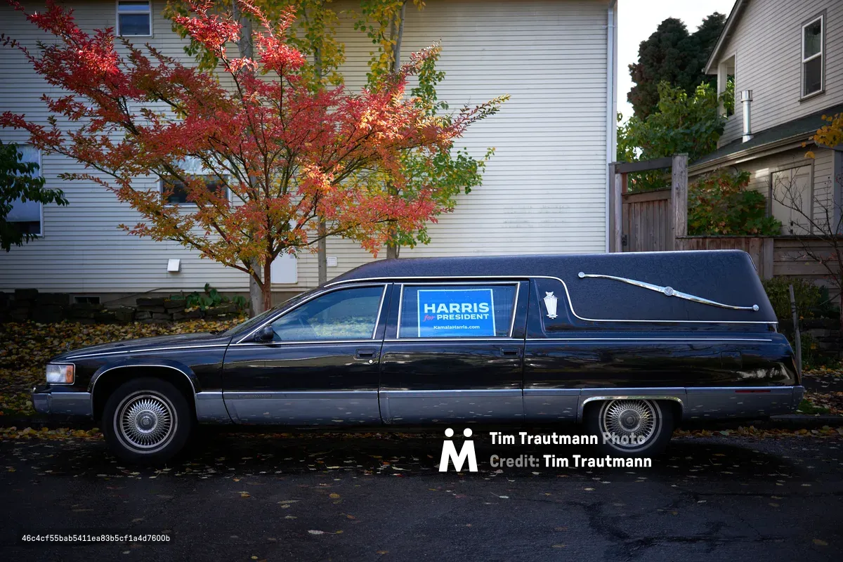 A black funeral hearse parked on a residential street in Portland, Oregon displays a blue Harris for President campaign sign in its window. The vehicle sits beneath autumn trees with vibrant red foliage, with white wooden houses visible in the background.