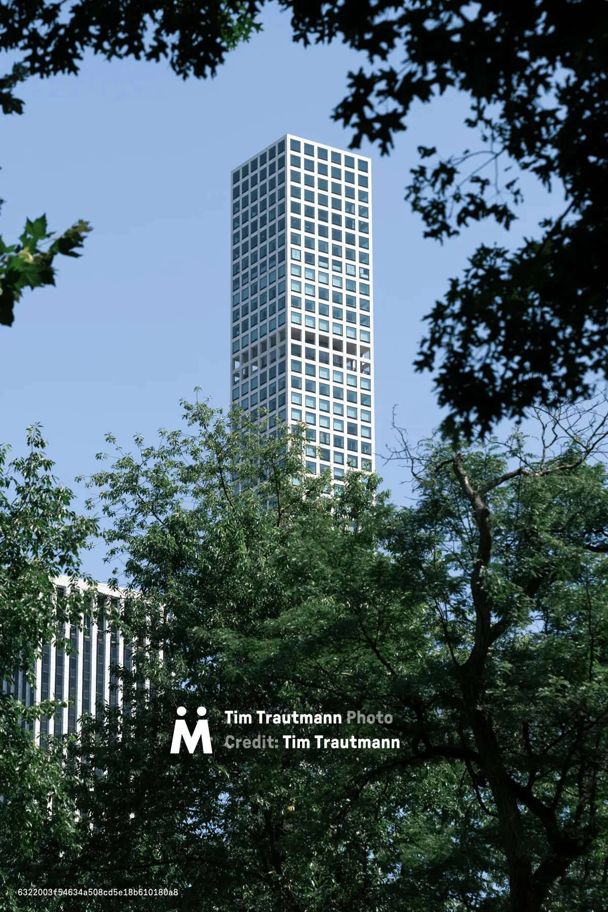 A sleek glass residential tower pierces the sky beyond Central Park's verdant canopy, its geometric facade creating a striking contrast against the organic forms of mature maple and oak branches. The modernist high-rise, captured through a natural frame of summer foliage, exemplifies Manhattan's vertical density rising from one of the world's most treasured urban green spaces. Soft overcast light filters through the leaves, creating dappled shadows while the building's repetitive window grid suggests the rhythmic pulse of city life.