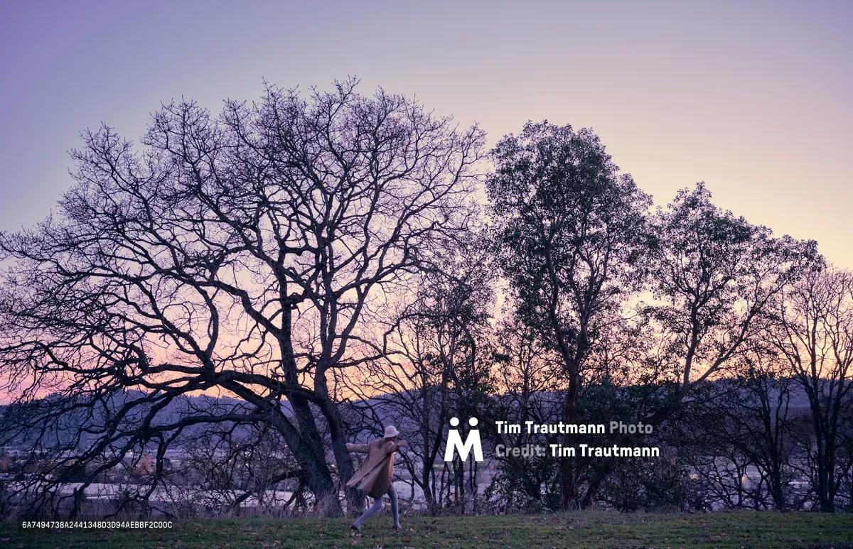 A lone woman in flowing clothing runs across an open field in North Portland's University Park neighborhood, silhouetted against a magnificent twilight sky painted in lavender and rose hues. Towering bare oak trees frame the scene with their intricate winter branches, creating a natural cathedral above the runner's graceful movement. The ethereal light captures the quiet anticipation of Oregon's rainy season, where these dormant giants await the coming precipitation.
