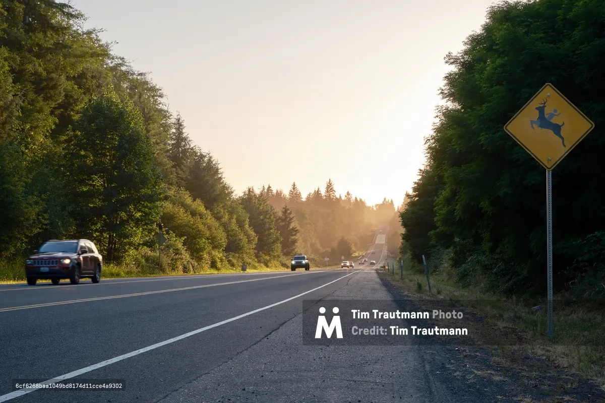 A scenic two-lane highway in Svensen, Oregon stretches toward distant hills with sunlight breaking through. A yellow diamond-shaped deer crossing warning sign is prominently displayed on the right side of the road, while cars travel in both directions through the forested landscape.