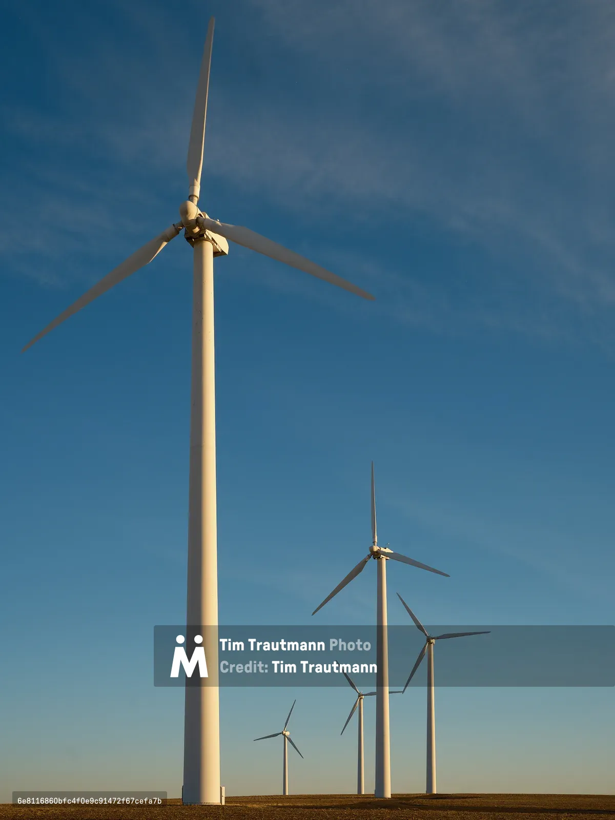 A row of large white wind turbines stretches across the flat, golden high desert landscape near Condon, Oregon. The closest turbine dominates the foreground, its three blades reaching into a vivid blue sky with wispy clouds. Five additional turbines recede into the distance along the horizon, growing progressively smaller. Warm late-day light illuminates the turbines and the dry, harvested farmland at their base.