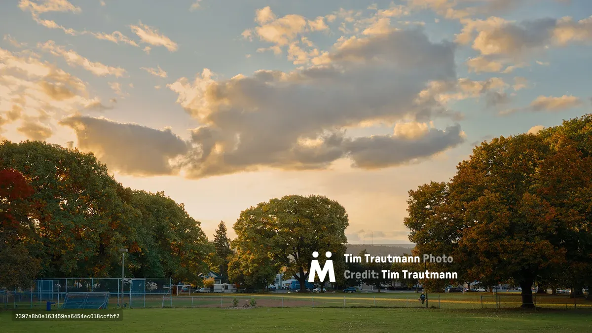 A sweeping autumn landscape at Powell Park in Portland, Oregon, bathed in warm golden evening light. Large mature trees in shades of green, amber, and rust frame an open grassy field with a baseball diamond and chain-link backstop visible on the left. A lone figure walks along the park's edge in the middle distance. Residential streets and parked vehicles are visible through the treeline, with the West Hills of Portland rising softly in the background. A dramatic sky of blue and gold-tinged clouds fills the upper half of the frame.