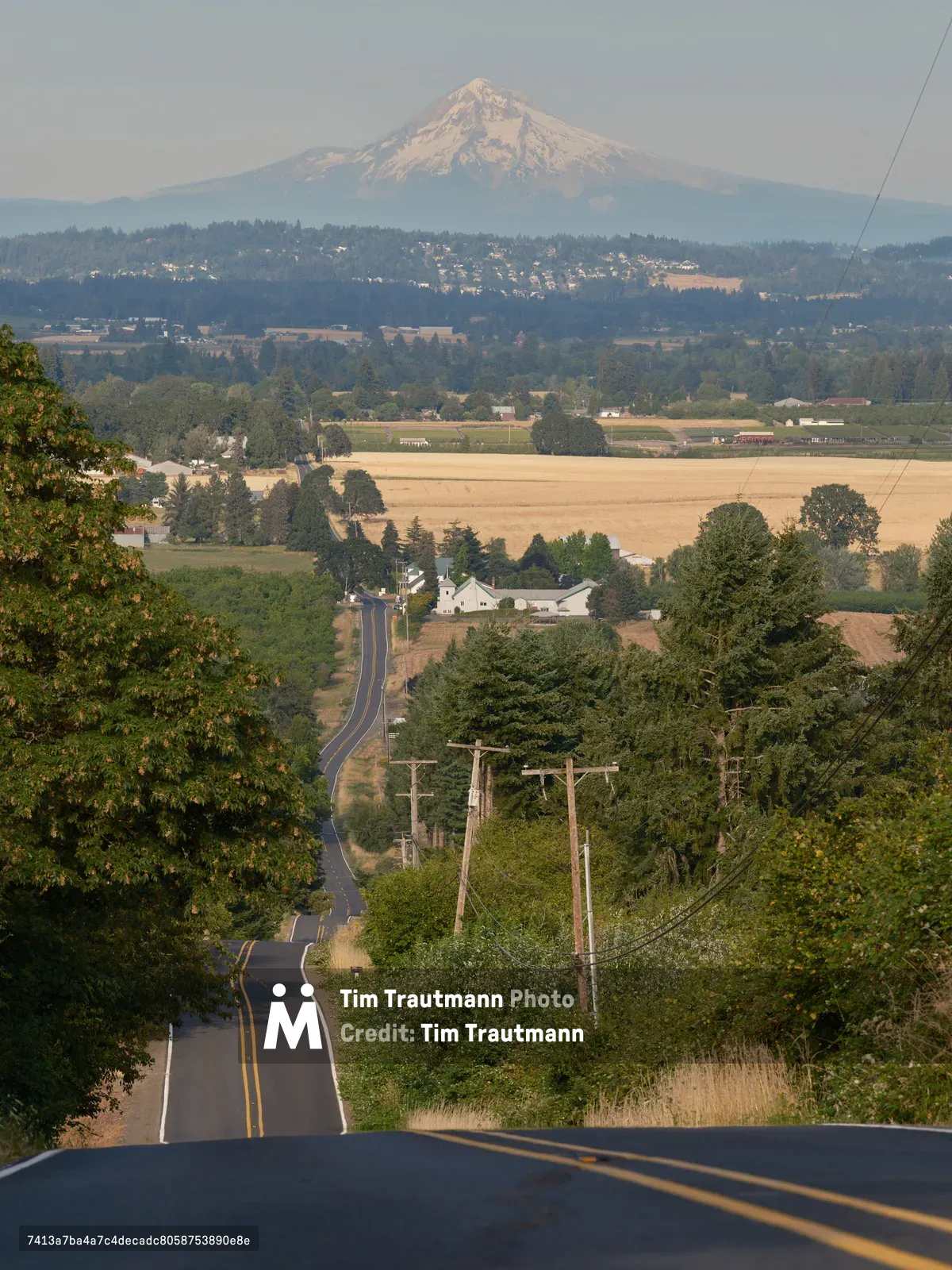 A scenic view down a winding rural road in Laurel, Oregon, with Mount Hood's snow-capped peak visible in the distance. The road descends through rolling agricultural landscape dotted with farm buildings, power lines, and lush green vegetation under warm evening light.
