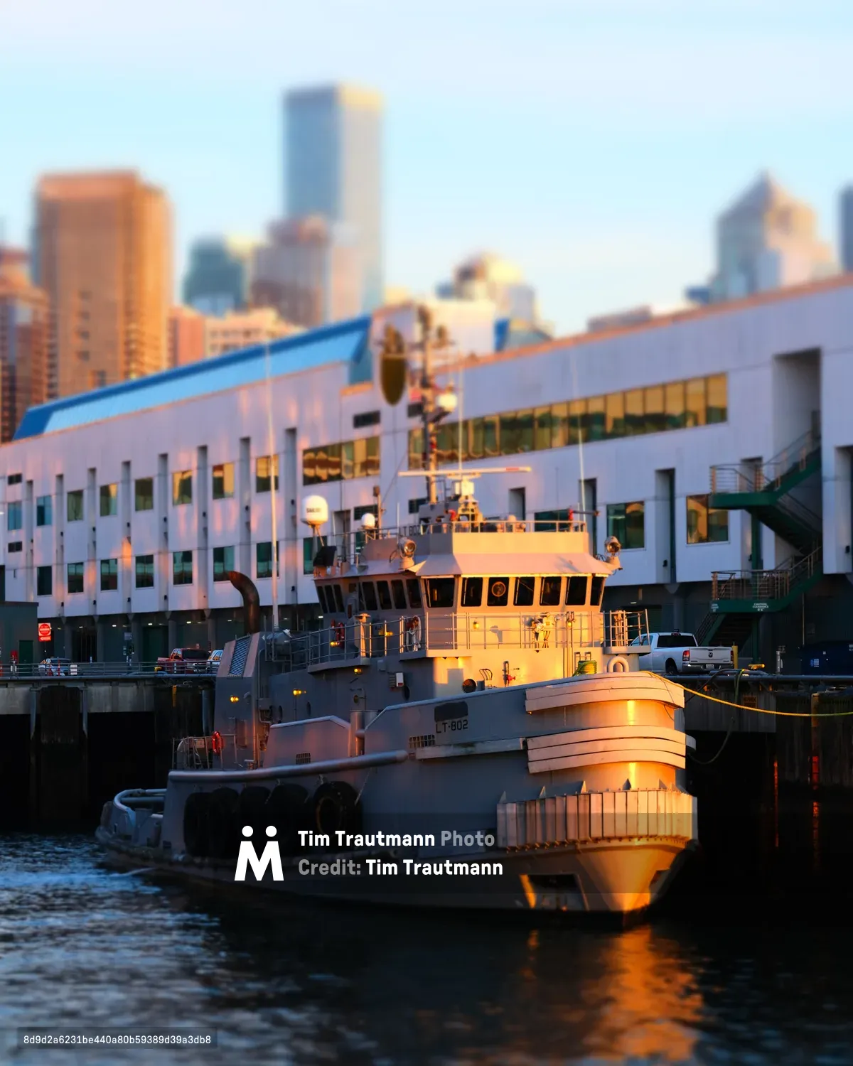 A working tugboat designated T-802 basks in the amber light of golden hour at Seattle's Pier 70, its white hull and wheelhouse glowing warmly against Elliott Bay's dark waters. The vessel's utilitarian design and illuminated cabin windows suggest the quiet end of a working day, while the soft-focused skyline of downtown Seattle rises majestically in the background. The modern waterfront development creates a striking architectural contrast to the honest functionality of the maritime workboat, capturing the intersection of Seattle's industrial heritage and urban evolution.