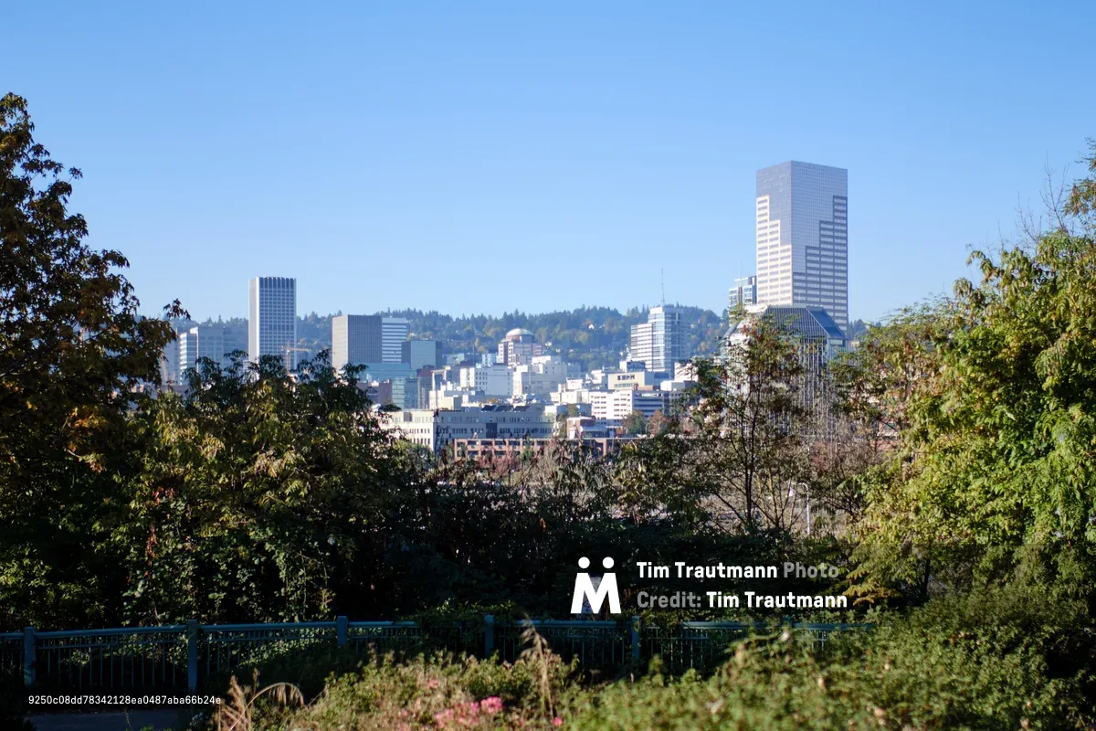 Downtown Portland's gleaming towers emerge through a verdant foreground of mature trees and ornamental plantings, captured from an elevated vantage point in the Lloyd District. The city's architectural crown jewels, including prominent high-rises, catch the warm afternoon light against a crystalline blue sky, while forested hills roll beyond the urban core. A blue metal railing frames the intimate garden viewpoint, creating layered depth between the lush immediate landscape and the distant metropolitan silhouette.
