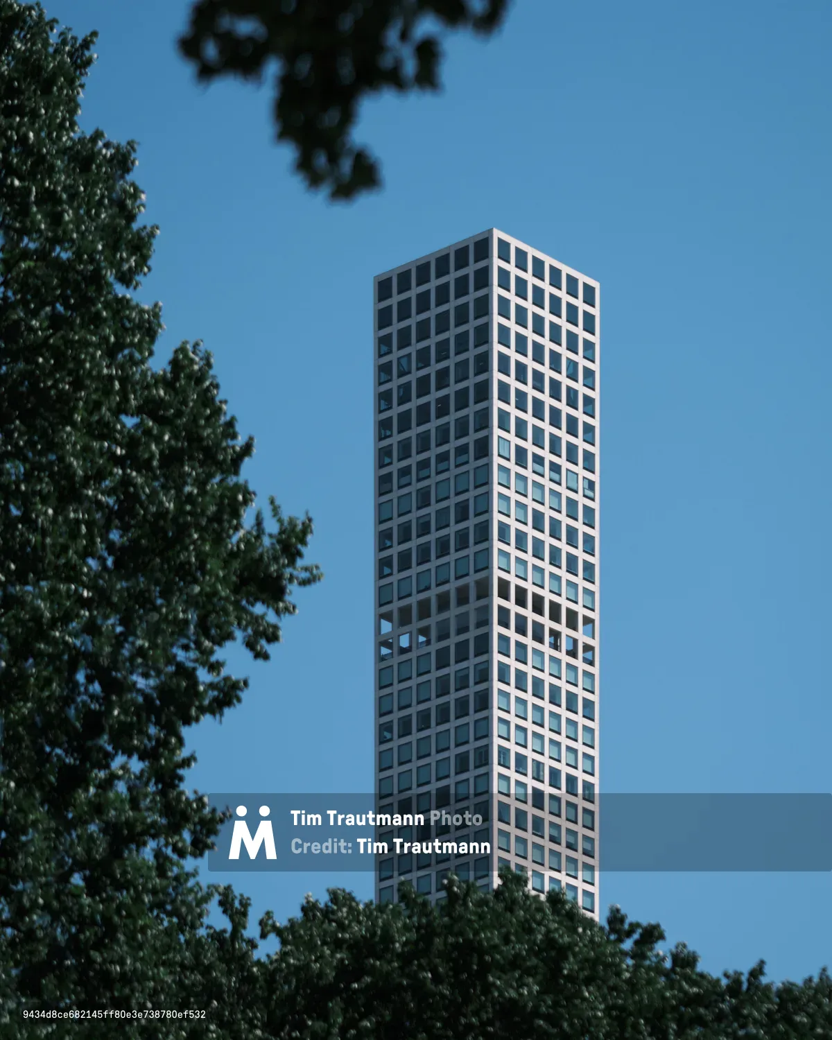 A gleaming white residential tower pierces the azure summer sky, framed by the lush emerald canopy of Central Park's ancient trees. The modernist high-rise, with its geometric grid of windows catching golden afternoon light, creates a striking contrast against the organic curves of overhanging branches that form a natural vignette. Shot from within the park's verdant interior, this composition captures the eternal tension between New York's urban ambition and its precious green sanctuary.