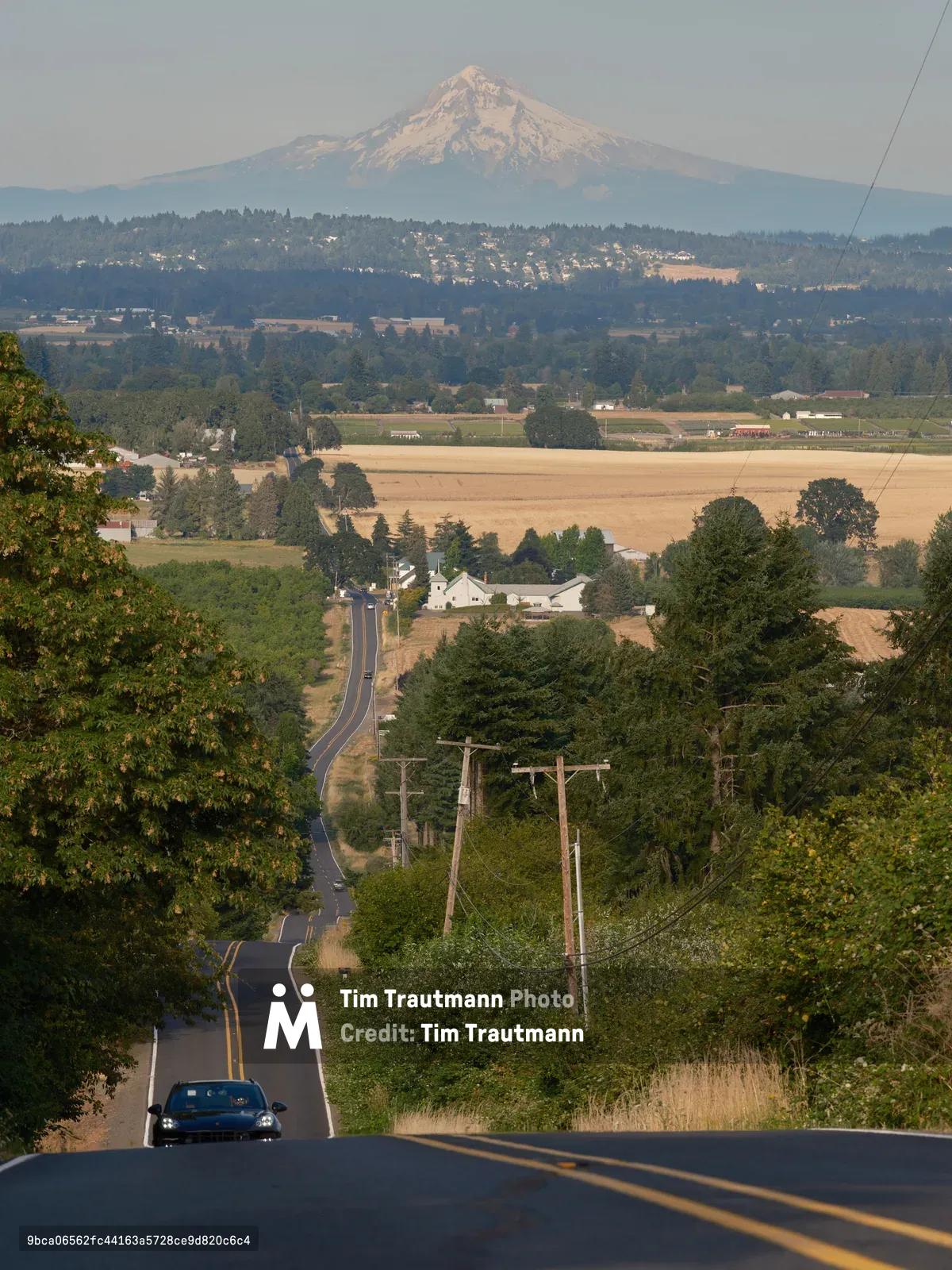 A scenic rural road in Laurel, Oregon descends through rolling farmland with Mount Hood prominently visible in the background. Power lines run alongside the winding asphalt road, while a single car travels toward the camera through the pastoral landscape of golden fields and green trees.
