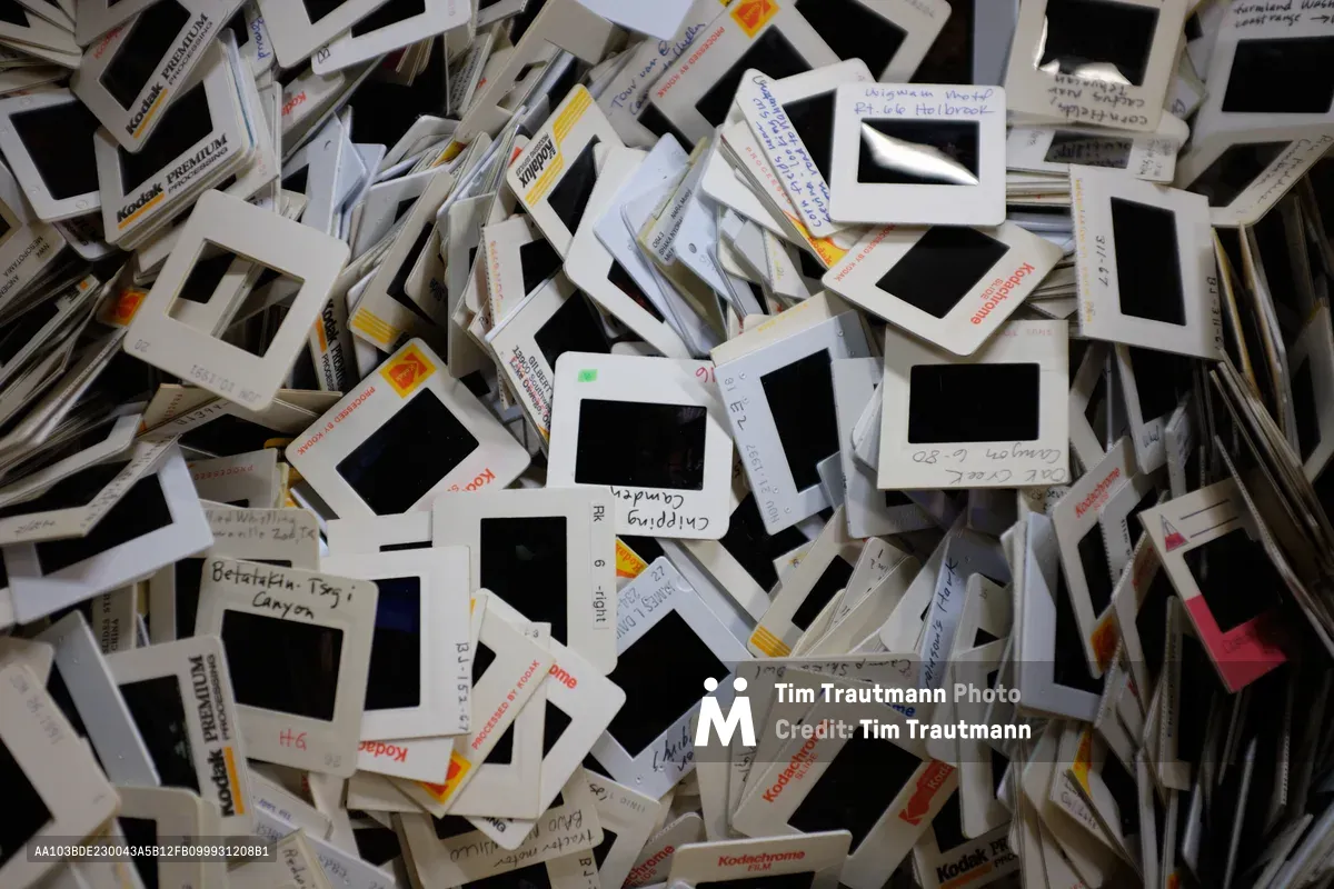 Hundreds of vintage photographic slides cascade in chaotic abundance, their white Kodachrome and generic cardboard mounts creating a mesmerizing pattern against deep black film apertures. Hand-written labels in faded ink and pencil hint at forgotten camping trips, family gatherings, and personal histories now relegated to this overwhelming pile at SCRAP PDX in Portland's Goose Hollow. The composition transforms discarded memories into an abstract landscape of geometric repetition, where each small window once held a captured moment in time.