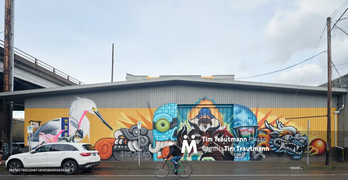 A vibrant street art mural by artist Heysus dominates the corrugated metal facade of an industrial warehouse on Water Avenue in Portland's Central Eastside. The expansive artwork features a kaleidoscope of characters including a white heron, blue skull, mythological figures, and abstract elements rendered in brilliant oranges, blues, and yellows against the building's golden lower wall. A cyclist pedals past the artwork while a white SUV is parked nearby, creating a dynamic urban scene beneath power lines and an overcast Pacific Northwest sky.