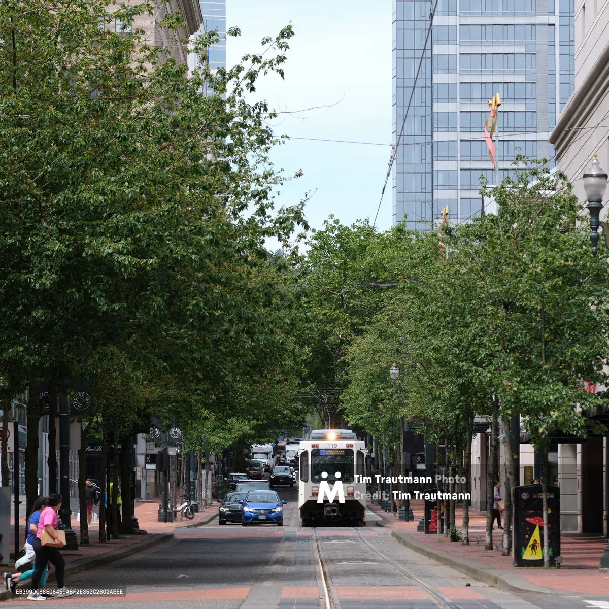 A white TriMet MAX Type 1 light rail train emerges from the verdant canopy of mature street trees lining Southwest Yamhill Street in Portland's historic downtown district. The dappled afternoon light filters through the leafy branches, casting gentle shadows across the brick-paved transit mall where pedestrians move leisurely along the tree-shaded sidewalks. Modern glass towers rise beyond the green corridor, creating a striking juxtaposition between Portland's urban growth and its commitment to preserving natural streetscape character. The scene captures the harmonious integration of public transportation within the city's thoughtfully designed pedestrian-friendly downtown core.