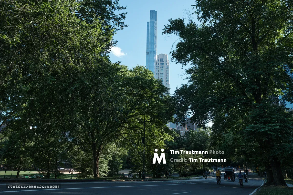 Ancient oaks and maples create a verdant tunnel along Central Park's East Drive, their summer foliage forming a natural frame for Manhattan's gleaming skyscrapers beyond. The dappled afternoon light filters through the dense canopy, casting gentle shadows across the park road where cyclists and pedestrians move leisurely through this green sanctuary. The composition juxtaposes the organic curves of century-old trees against the geometric precision of luxury high-rises, embodying the harmonious coexistence of nature and urbanity that defines Central Park's eastern border.