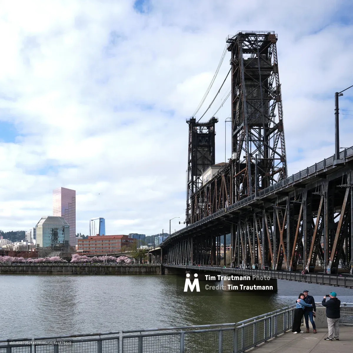 The weathered steel towers of Portland's Steel Bridge rise majestically against a soft spring sky, their industrial bones creating dramatic vertical lines above the Willamette River. In the foreground, visitors gather along the Eastbank Esplanade's waterfront promenade, while delicate cherry blossoms create a romantic pink haze near Tom McCall Waterfront Park on the distant shore. The scene captures the harmonious contrast between Portland's gritty industrial heritage and its celebrated urban greenspace, with the city's modern skyline providing a backdrop of glass and brick beneath clouds that filter the Pacific Northwest light into gentle, diffused tones.