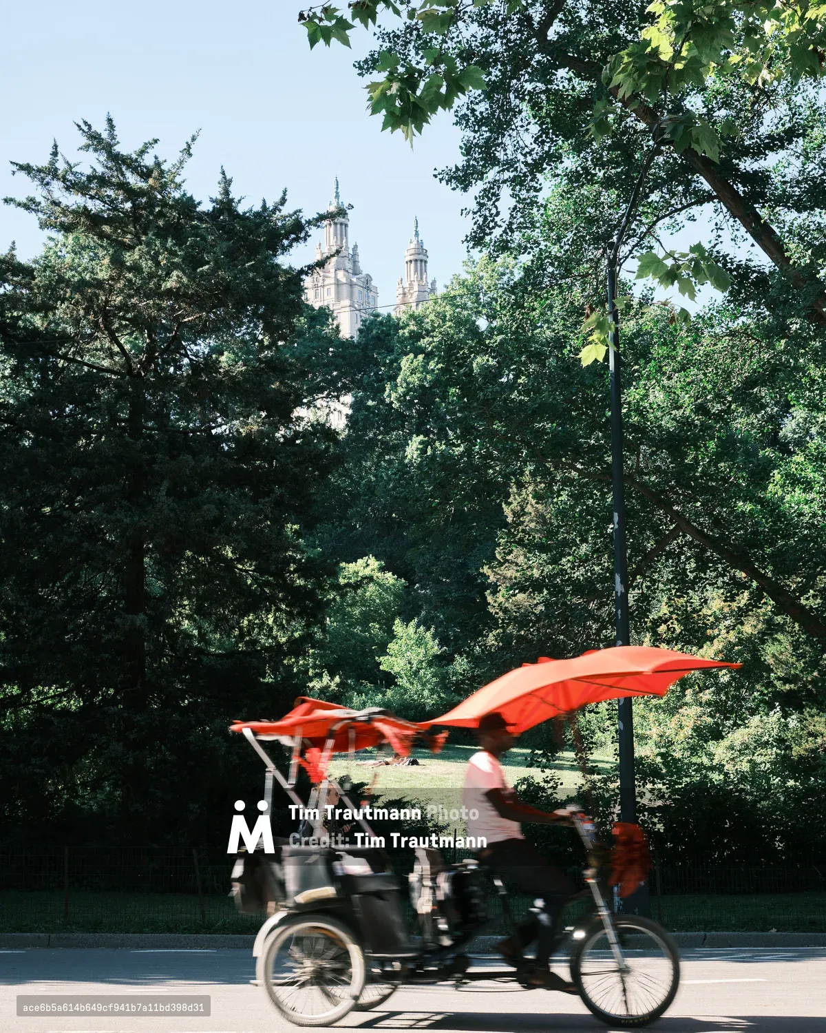 A pedicab adorned with billowing vermillion fabric cuts through dappled sunlight beneath Central Park's dense canopy, its motion-blurred form suggesting the unhurried rhythm of urban leisure. The Gothic Revival spires of the San Remo apartments pierce the green horizon beyond, their limestone towers creating a romantic backdrop to this fleeting moment of transportation. Filtered golden light cascades through maple and oak leaves, casting the scene in the warm, nostalgic glow of a perfect New York summer afternoon.