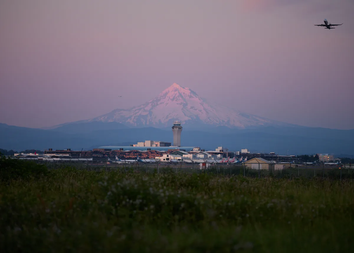 Mount Hood rises majestically beyond Portland International Airport's control tower and terminals, bathed in the ethereal pink alpenglow of twilight. A commercial aircraft carves through the lavender sky in the upper right, while the industrial sprawl of the airport complex spreads across the middle ground. Taken from Northeast 33rd Drive in Sunderland, this atmospheric composition layers Oregon's aviation hub against the iconic Cascade peak, with wild grasses framing the foreground in soft focus.