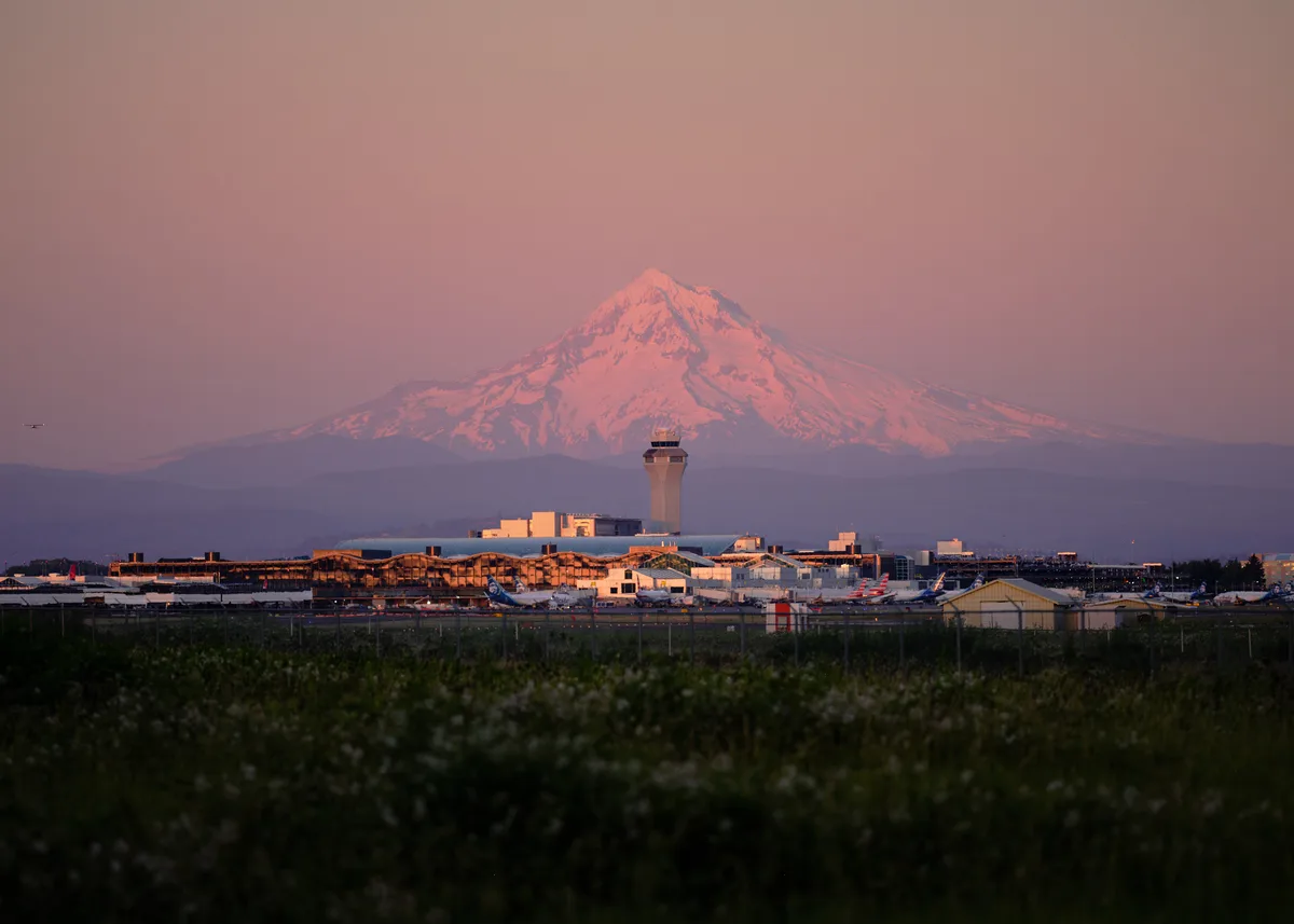 The snow-capped summit of Mount Hood catches the last blush of twilight, its glaciated faces glowing coral-pink against a dusky lavender sky. Below, Portland International Airport spreads across the Columbia River plain, its control tower and terminal buildings bathed in golden hour light while aircraft rest on the tarmac. The composition layers foreground vegetation, urban aviation infrastructure, and the majestic Cascade peak in perfect alignment, capturing the unique juxtaposition of Pacific Northwest wilderness and metropolitan connectivity.