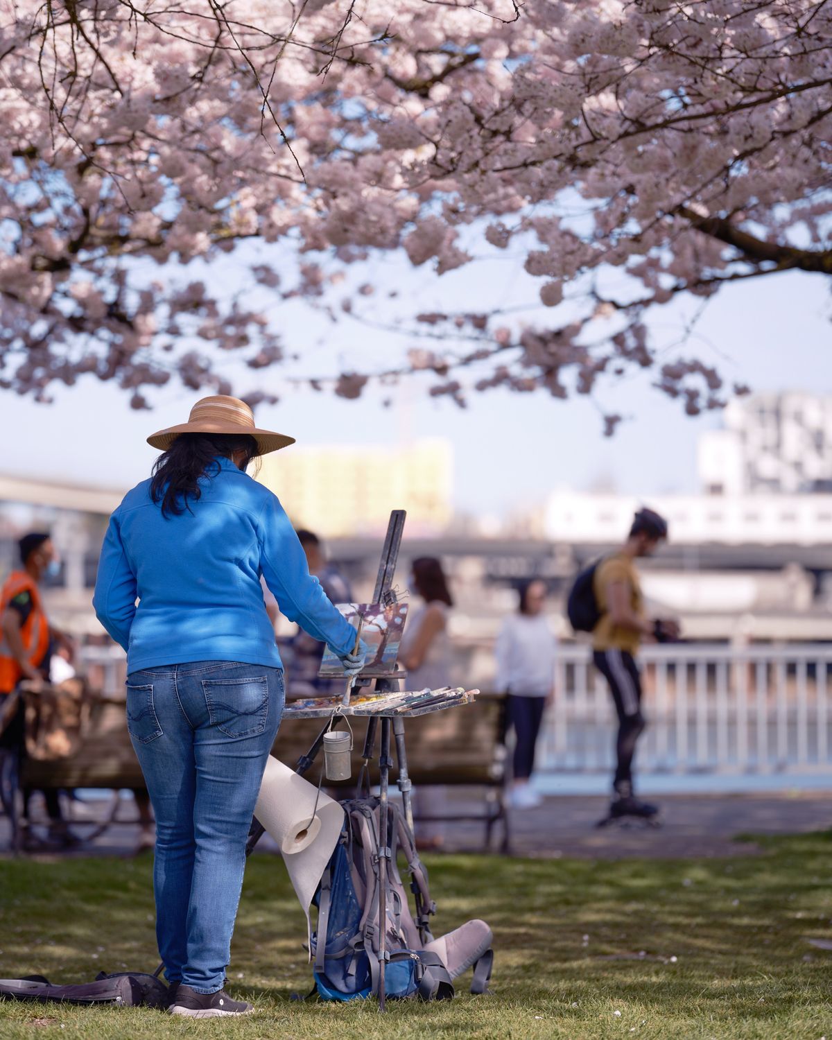 A plein air painter in a blue sweater and wide-brimmed hat works intently at her easel beneath a canopy of blooming cherry trees at Tom McCall Waterfront Park. The pale pink sakura blossoms create a dreamy overhead backdrop, their soft petals catching the filtered spring light. The artist's portable easel and supplies are arranged on the green lawn, while other park visitors stroll in the soft-focused background near the Willamette River waterfront.