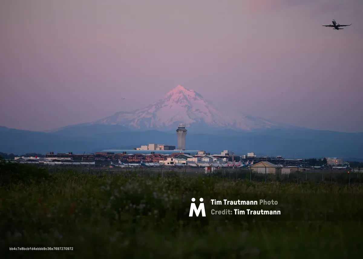 Mount Hood rises majestically beyond Portland International Airport's control tower and terminals, bathed in the ethereal pink alpenglow of twilight. A commercial aircraft carves through the lavender sky in the upper right, while the industrial sprawl of the airport complex spreads across the middle ground. Taken from Northeast 33rd Drive in Sunderland, this atmospheric composition layers Oregon's aviation hub against the iconic Cascade peak, with wild grasses framing the foreground in soft focus.