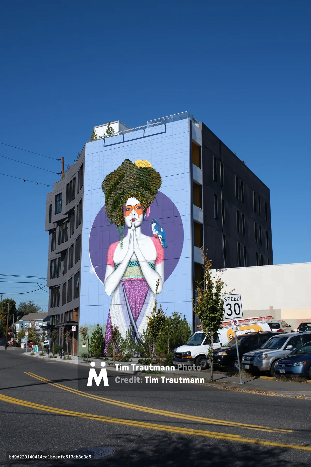 Against Portland's crystalline azure sky, Fin DAC's monumental five-story mural transforms a contemporary apartment building into a beacon of contemplative art. The ethereal figure, crowned with cascading vegetation that breathes life into street art, presses palms together in prayer while a vibrant parrot perches nearby, creating an oasis of serenity amid the urban pulse of Southeast Division Street. Yellow lane markers slice through the foreground, leading the eye toward this towering testament to gratitude that seamlessly merges nature with human expression.