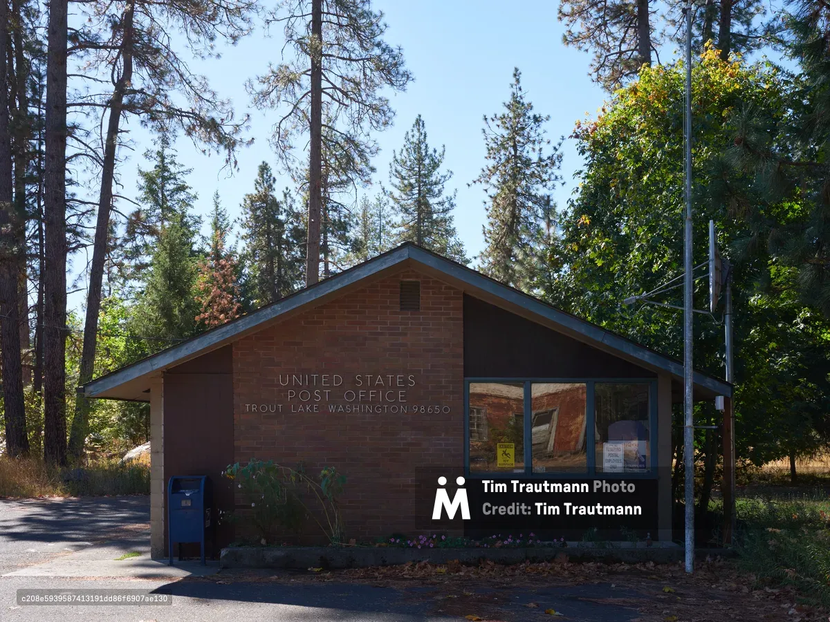 A humble brick United States Post Office stands sentinel in the forest community of Trout Lake, Washington, its weathered facade bearing the ZIP code 98650 beneath towering ponderosa pines and Douglas firs. Dappled afternoon light filters through the canopy, casting gentle shadows across the modest federal building's entrance where a blue mailbox waits faithfully beside the entrance. The rustic structure, with its simple gabled roof and large windows, embodies the enduring presence of postal service in America's remote mountain communities.