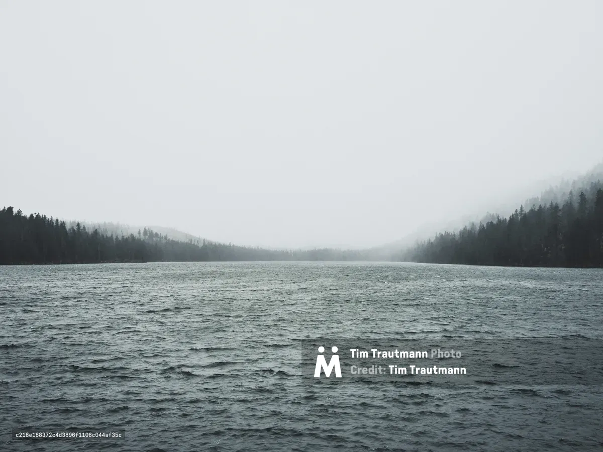 Dense fog shrouds the dark silhouettes of Cascade Mountains conifers along the shores of Suttle Lake in Oregon's Jefferson County. The brooding waters stretch toward vanishing peaks, their surfaces textured by gentle wind while low-hanging clouds blur the boundary between water and sky. Muted grays and deep greens dominate this moody landscape, creating an atmosphere of quiet solitude and Pacific Northwest mystique.