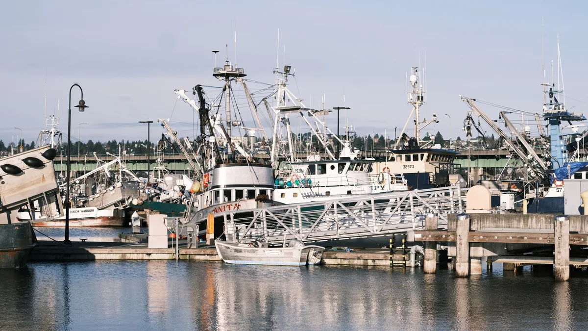 A weathered commercial fishing fleet lies moored at Fishermen's Terminal in Seattle's Ballard neighborhood, their masts and rigging creating a geometric forest against an overcast Pacific Northwest sky. The vessel 'Anita' dominates the foreground, her white hull contrasting with the industrial architecture of weathered wooden docks and concrete piers. Soft afternoon light filters through marine layer clouds, casting subtle reflections of the boats' hulls and superstructure onto the dark harbor water.