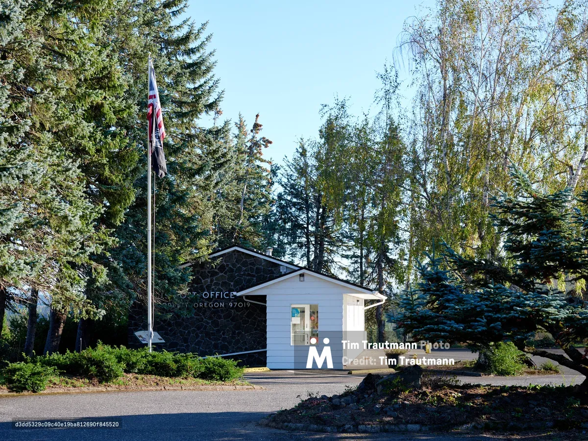 A modest white clapboard post office building sits nestled among towering evergreens and deciduous trees in the Columbia River Gorge community of Corbett, Oregon. The single-story structure features a simple gabled roof and large window displaying postal notices, with an American flag flying proudly on a tall pole nearby. Dappled afternoon light filters through the canopy of firs, spruces, and birches, creating a serene small-town atmosphere along the historic Columbia River Highway.