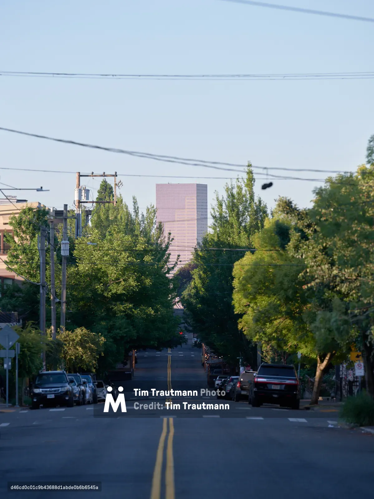 A residential street in Portland, Oregon slopes downward through a canopy of green trees with parked cars lining both sides, power lines overhead, and a distinctive pink high-rise building visible in the distance through the foliage.
