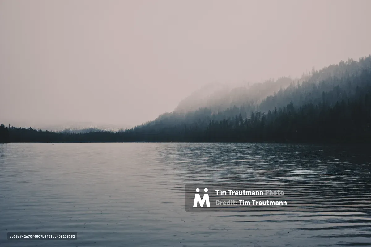 Low-hanging fog drapes the densely forested hills surrounding Suttle Lake in Oregon's Cascade Range, creating layers of atmospheric depth in muted tones. The lake's surface mirrors the pewter sky while gentle ripples catch the subdued morning light. Dense coniferous forest creates dramatic silhouettes against the misty backdrop, with the distant peaks dissolving into the overcast atmosphere. This contemplative scene captures the Pacific Northwest's signature moody beauty during the quiet hours of dawn.