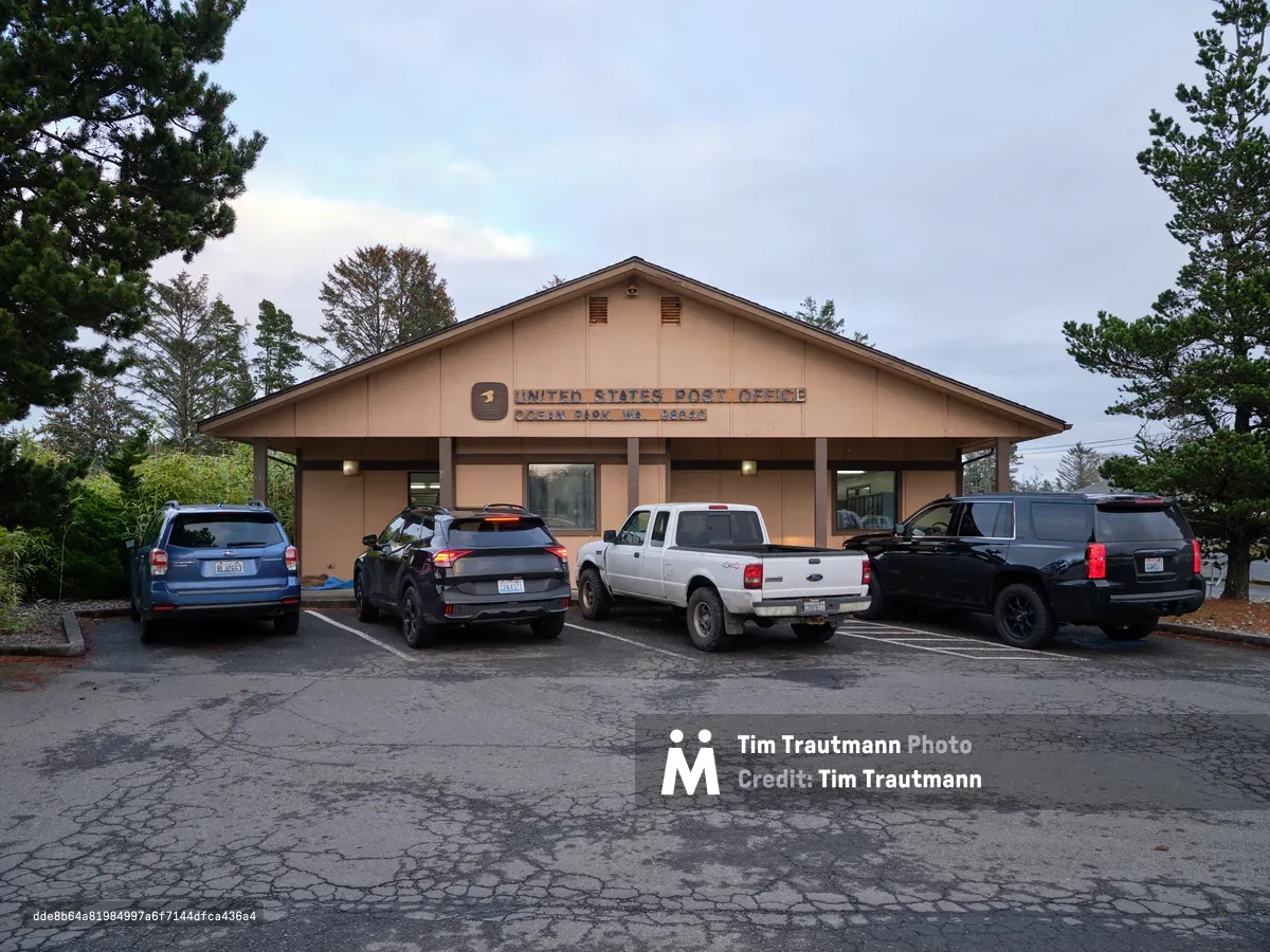 A modest single-story United States Post Office building in Ocean Park, Washington, sits beneath an overcast Pacific Northwest sky. The earth-toned structure, with its simple gabled roof and covered entrance, serves as a community hub where five vehicles are parked in the weathered asphalt lot. Towering evergreens frame the scene, their dark silhouettes creating a natural border against the pale, cloud-heavy atmosphere typical of the Washington coast. The functional architecture and busy parking lot speak to the enduring importance of postal services in rural American communities.