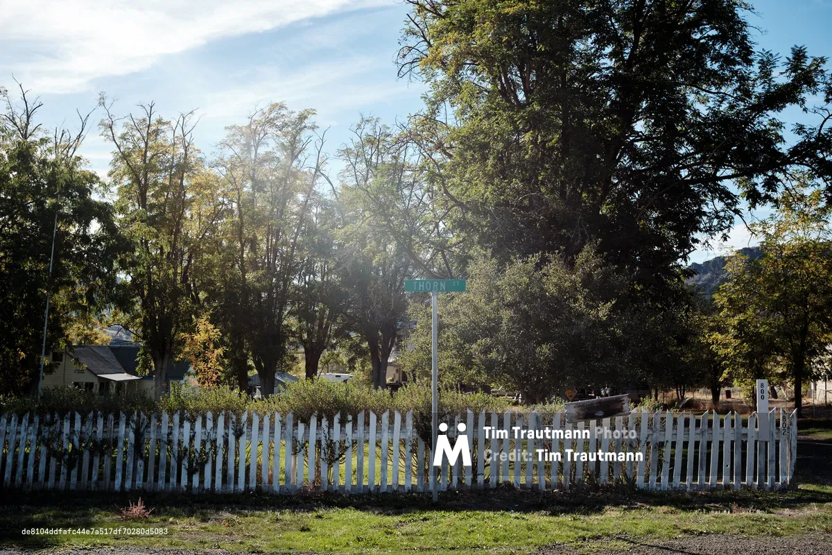 Golden afternoon sunlight filters through mature deciduous trees along a quiet residential street in the small eastern Oregon town of Spray. A weathered white picket fence runs parallel to the street, enclosing a modest yard where autumn has begun to touch the foliage with warm yellows and browns. The scene captures the unhurried pace of rural Wheeler County life, with scattered houses nestled beneath towering trees and distant hills visible through the canopy.