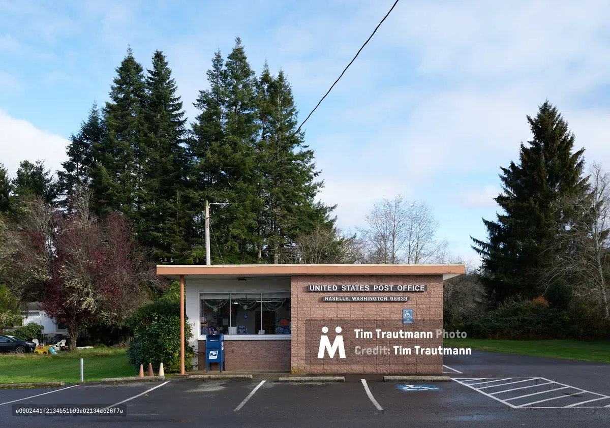 A modest single-story United States Post Office stands beneath towering evergreens in Naselle, Washington, its red brick facade and flat roofline embodying mid-century municipal architecture. The building sits in a quiet parking lot with painted spaces, framed by the lush green landscape of the Pacific Northwest under an overcast sky. Power lines cut diagonally through the frame, adding an element of rural infrastructure to this intimate portrait of small-town America.
