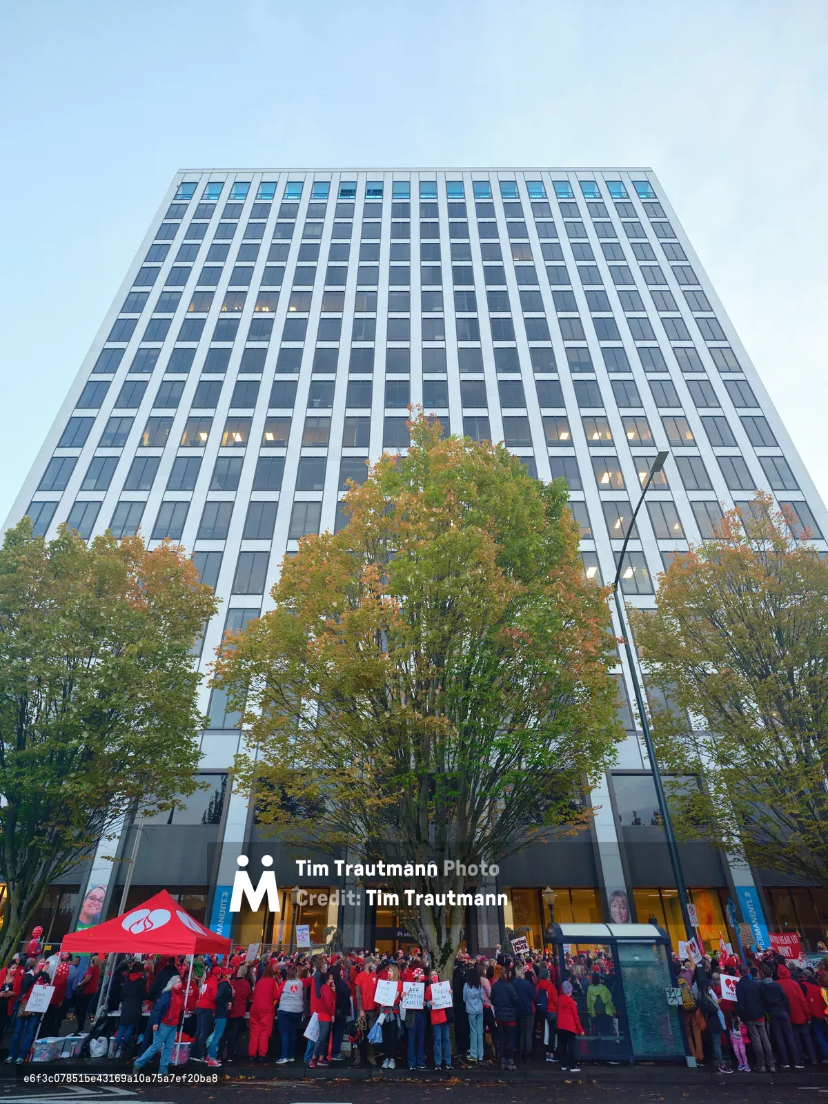 A sea of striking nurses in crimson scrubs and union red congregates at the base of Portland's imposing Kaiser Permanente Tower, their collective presence creating a powerful visual contrast against the building's stark modernist facade. The late afternoon light casts a cool blue wash over the scene while autumn trees frame the corporate monolith, their golden leaves echoing the warmth of the protesters' resolve. Signs and banners punctuate the crowd as healthcare workers mass in organized defiance, transforming the sterile corporate plaza into a stage for labor activism.