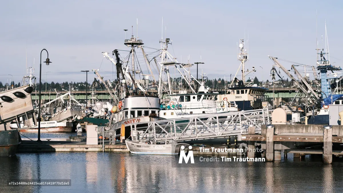 A weathered commercial fishing fleet lies moored at Fishermen's Terminal in Seattle's Ballard neighborhood, their masts and rigging creating a geometric forest against an overcast Pacific Northwest sky. The vessel 'Anita' dominates the foreground, her white hull contrasting with the industrial architecture of weathered wooden docks and concrete piers. Soft afternoon light filters through marine layer clouds, casting subtle reflections of the boats' hulls and superstructure onto the dark harbor water.