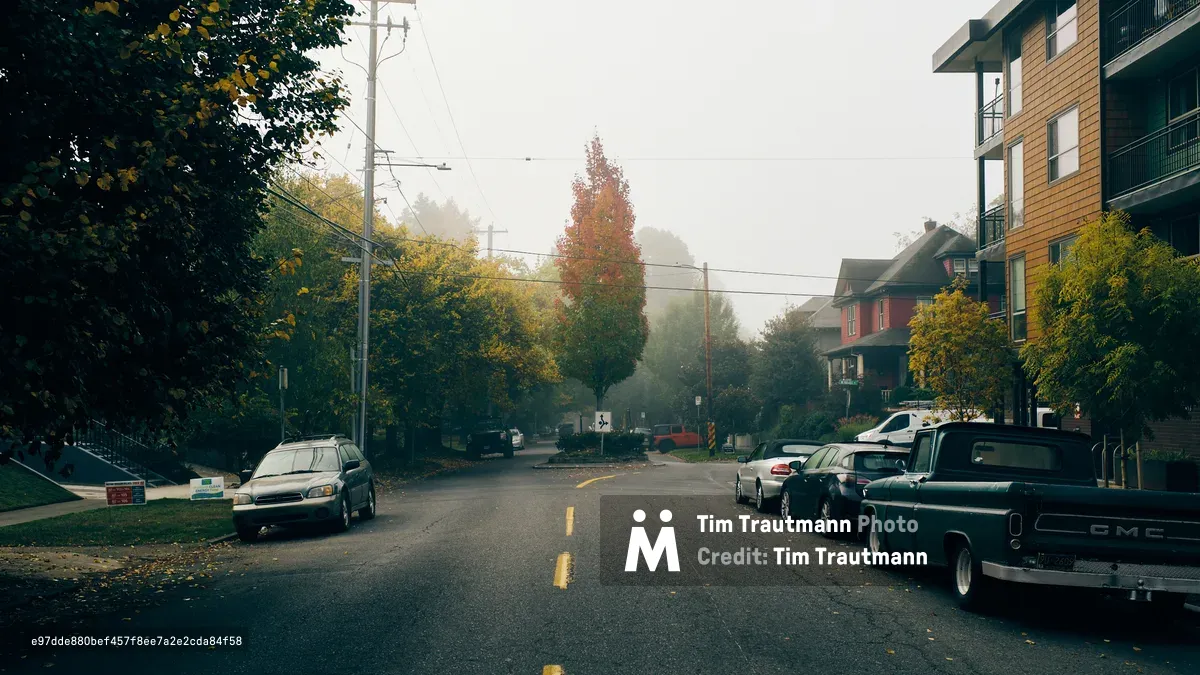 A misty autumn morning settles over Northeast Knott Street in Portland's historic Irvington neighborhood, where golden foliage creates a natural canopy above parked cars and modest residential architecture. The soft, overcast light filters through mature trees displaying their seasonal transformation, while utility lines stretch across the quiet street scene. Mixed-era vehicles line both sides of the asphalt roadway, from a weathered sedan to a sturdy pickup truck, capturing the authentic character of this established Portland community.