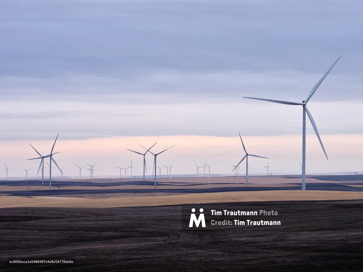 Dozens of large white wind turbines spread across rolling agricultural land near Moro, Oregon in Sherman County. In the foreground, alternating bands of dark freshly tilled soil and golden unharvested grain create a patchwork across gently undulating hills. A single turbine dominates the right side of the frame in sharp detail, its blades motion-blurred from rotation, while a long row of additional turbines recedes into the distance across the plateau. The sky is a soft layered blend of grey-blue overcast cloud with a pale pink and lavender glow near the horizon, suggesting either dawn or dusk. The overall mood is quiet and expansive, with muted, cool tones throughout.