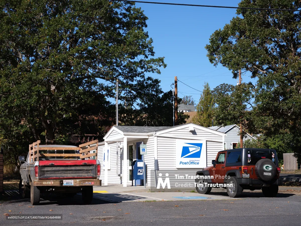 A modest white clapboard post office building sits nestled among towering mature trees in Husum, Washington, embodying the essence of small-town America. The single-story structure displays the iconic blue USPS logo prominently on its facade, while a blue mailbox stands sentinel beside the entrance. Two vehicles - a weathered pickup truck and an orange Jeep - are parked in front, suggesting the steady rhythm of daily community life under a brilliant azure sky.