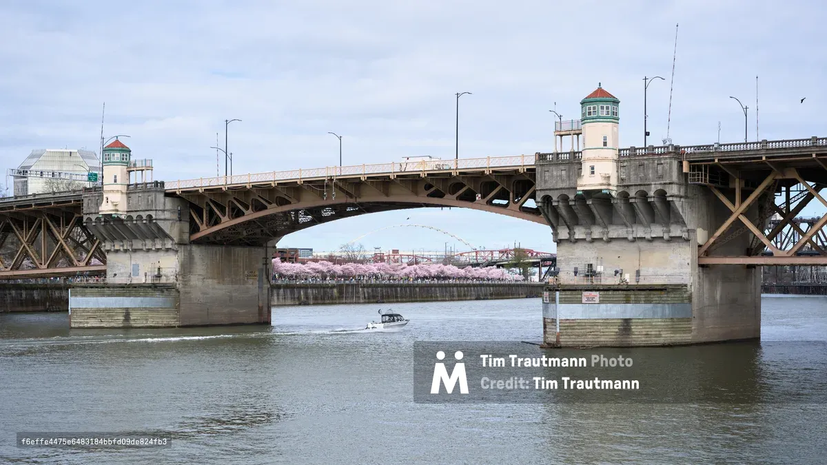 The iconic Burnside Bridge spans the Willamette River in Portland, Oregon, its twin lighthouse-style towers standing sentinel against an overcast spring sky. A delicate veil of cherry blossoms in soft pink hues creates a romantic frame through the bridge's central arch, while a solitary boat navigates the calm waters below. The industrial concrete and steel structure contrasts beautifully with nature's ephemeral spring display, capturing the essence of urban Portland where architecture and natural beauty coexist in harmonious balance.