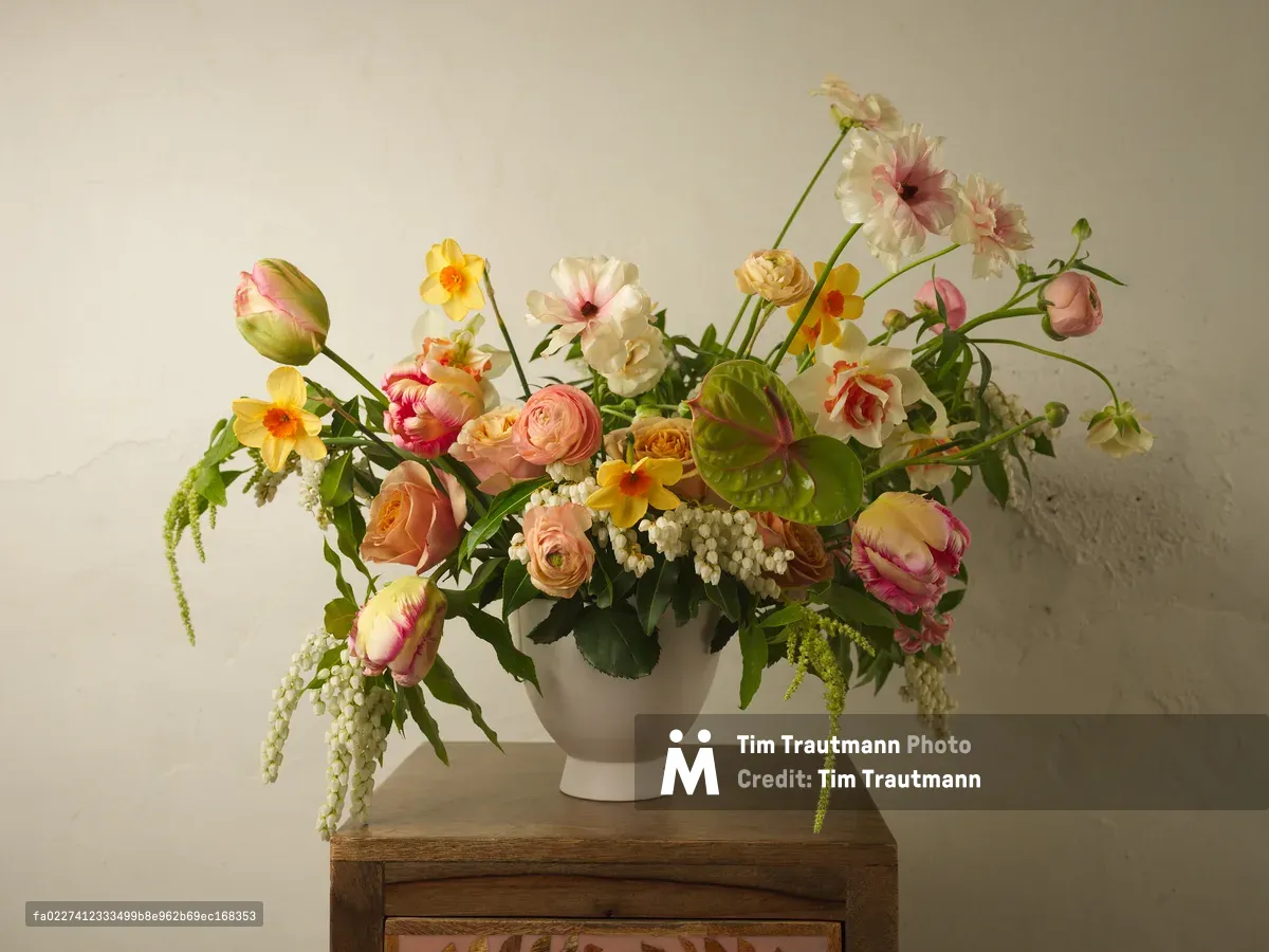 A carefully composed floral arrangement bursts with seasonal Pacific Northwest blooms in a cream ceramic vessel. The collection features coral ranunculus, sunshine-yellow daffodils, blush tulips, and cascading white pieris, punctuated by verdant foliage that speaks to Portland's fertile growing season. Soft natural light bathes the arrangement against a warm neutral backdrop, creating gentle shadows that emphasize the organic curves and delicate textures of each bloom.
