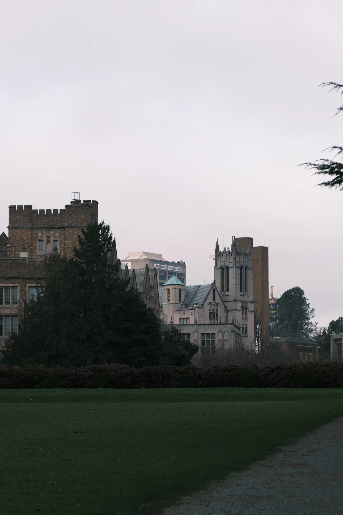 The University of Washington's Gothic Revival architecture emerges from verdant campus grounds under a pearl-gray evening sky. Stone towers and castellated buildings create dramatic silhouettes against the soft twilight, while mature trees frame the foreground in deep shadows. The scene captures the institutional grandeur of the Seattle campus, where academic spires pierce the overcast Pacific Northwest atmosphere with medieval-inspired majesty.