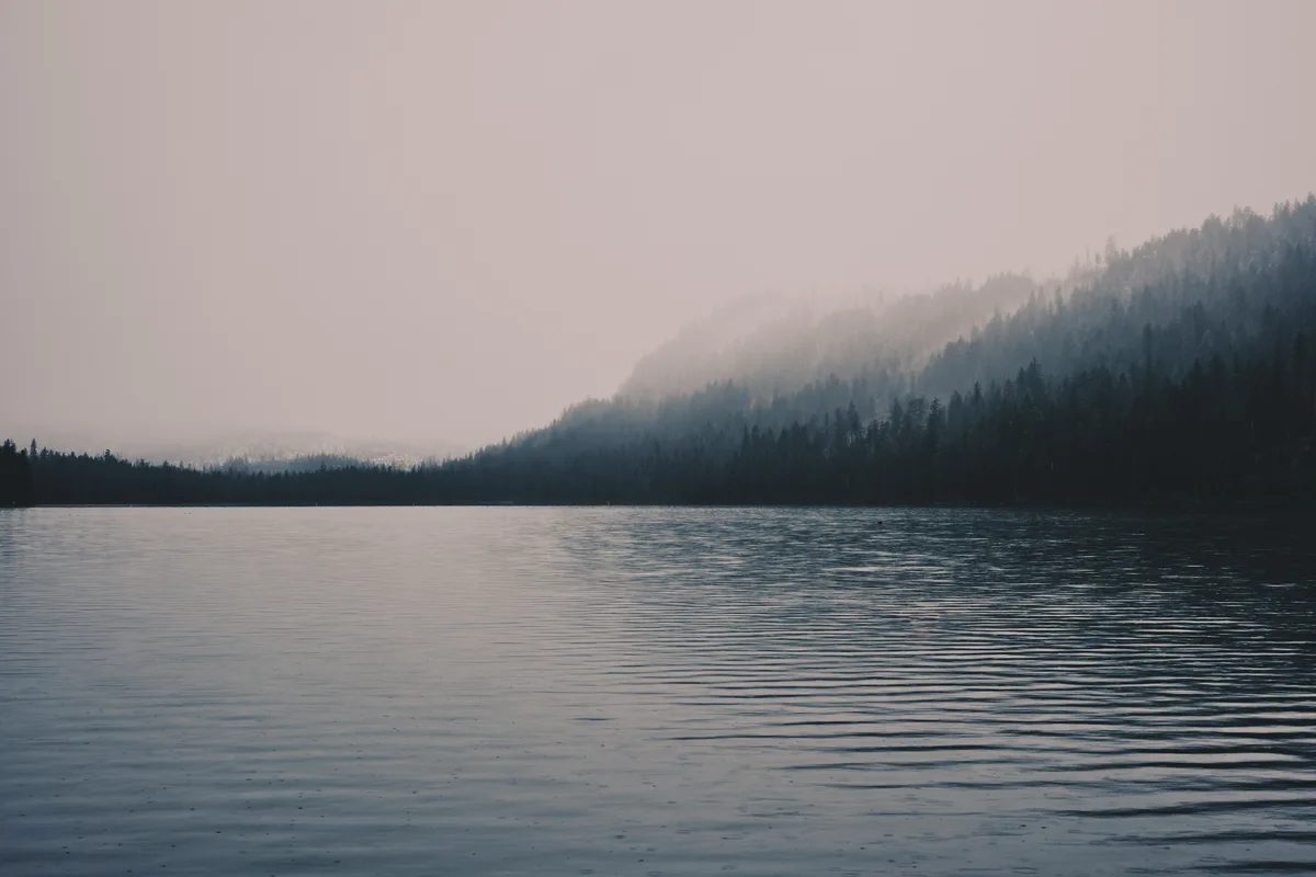 Low-hanging fog drapes the densely forested hills surrounding Suttle Lake in Oregon's Cascade Range, creating layers of atmospheric depth in muted tones. The lake's surface mirrors the pewter sky while gentle ripples catch the subdued morning light. Dense coniferous forest creates dramatic silhouettes against the misty backdrop, with the distant peaks dissolving into the overcast atmosphere. This contemplative scene captures the Pacific Northwest's signature moody beauty during the quiet hours of dawn.