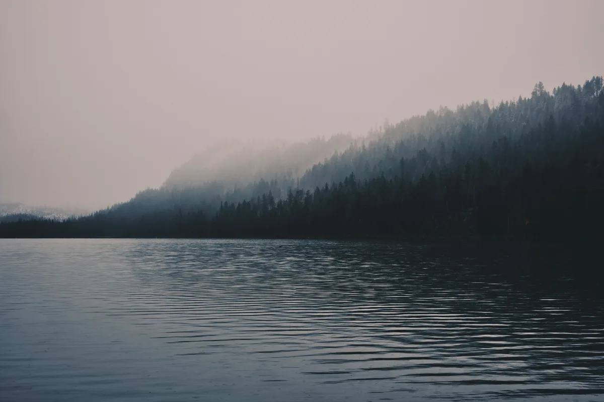 Morning mist clings to the densely forested slopes surrounding Suttle Lake in Oregon's Cascade Range, creating layers of atmospheric depth that fade from deep forest green to pale rose-tinted sky. The lake's surface captures delicate ripples while the coniferous hillside disappears into ethereal fog, suggesting the quiet solitude of dawn in the Pacific Northwest wilderness. The composition balances the horizontal plane of water against the ascending diagonal of the mist-shrouded mountainside.