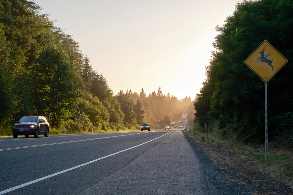A scenic two-lane highway in Svensen, Oregon stretches toward distant hills with sunlight breaking through. A yellow diamond-shaped deer crossing warning sign is prominently displayed on the right side of the road, while cars travel in both directions through the forested landscape.