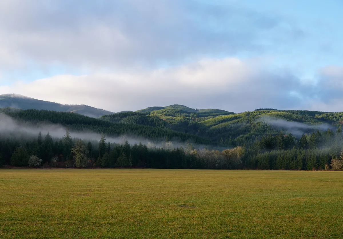 A serene rural landscape near Pe Ell, Washington, featuring a wide flat green pasture in the foreground backed by a dense treeline of evergreen conifers. Low-lying morning fog drifts in ribbons through the valleys between rolling, heavily forested hills. Sunlight catches the tops of the hills, illuminating the bright green tree canopy against a partly cloudy blue sky.